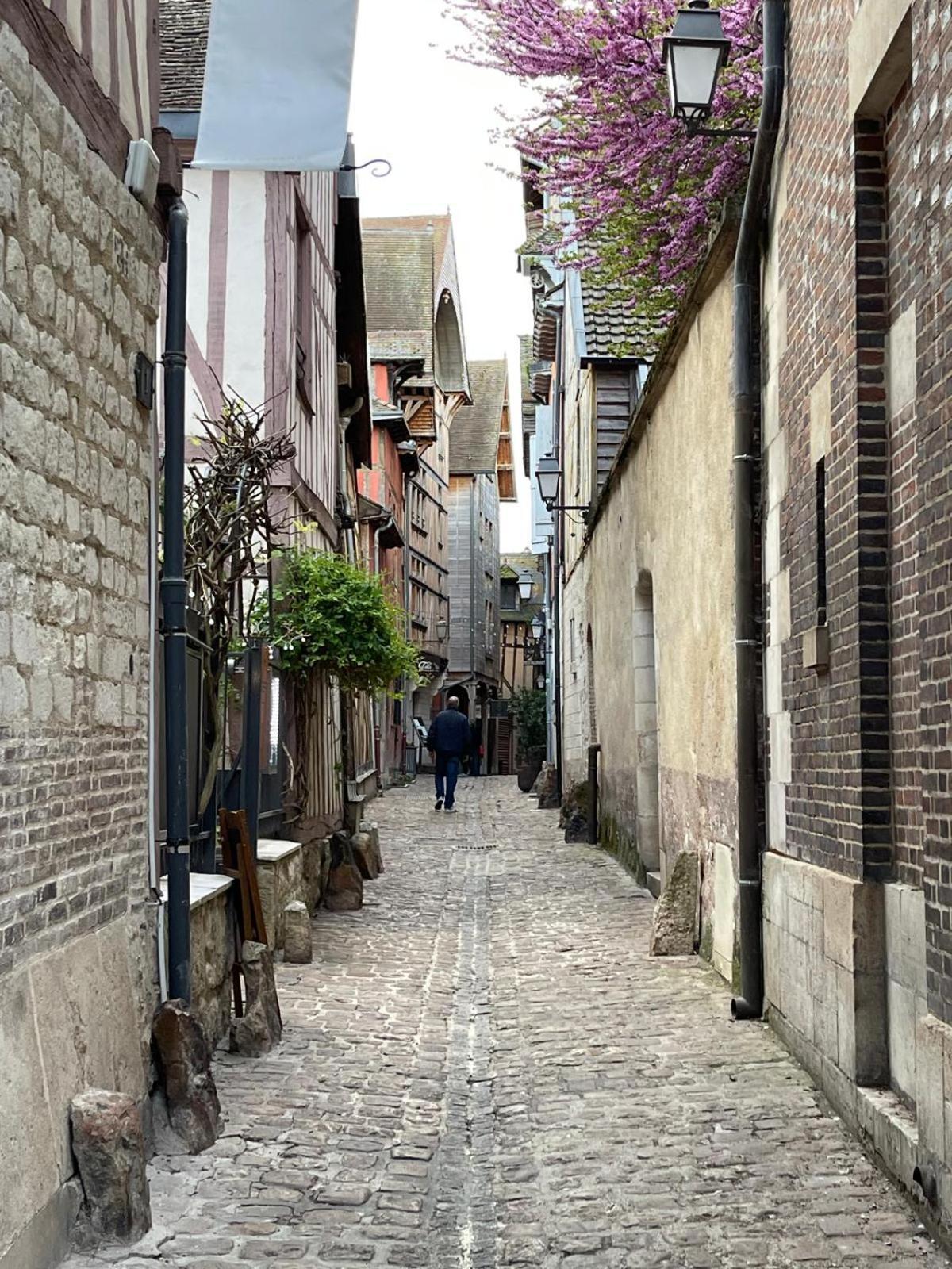 Un Brin De Bonheur Villa Troyes Exterior foto